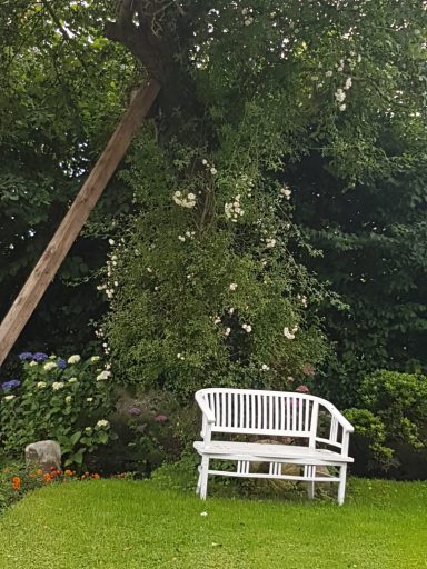 Weiße Bank im Garten, umgeben von grüner Vegetation und blühenden Pflanzen.
