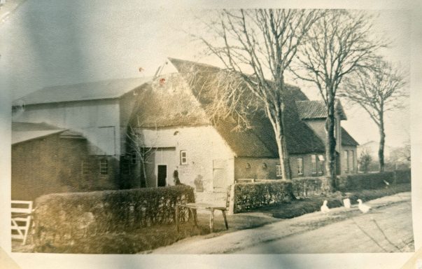 Altes Bauernhaus mit Bäumen und einer Straße, auf der Enten laufen.