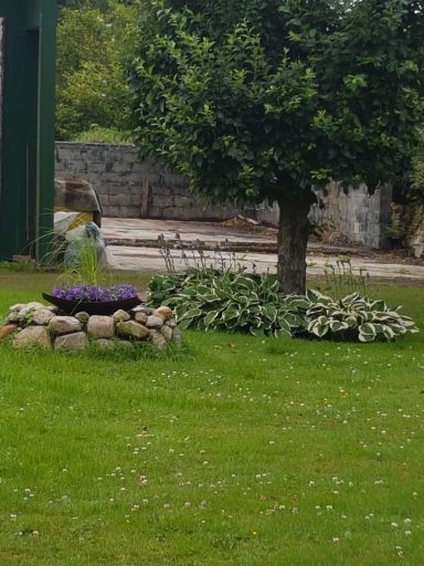 Grüner Garten mit einem Baum, Blumenbeet und dekorativen Schafen aus Stein.
