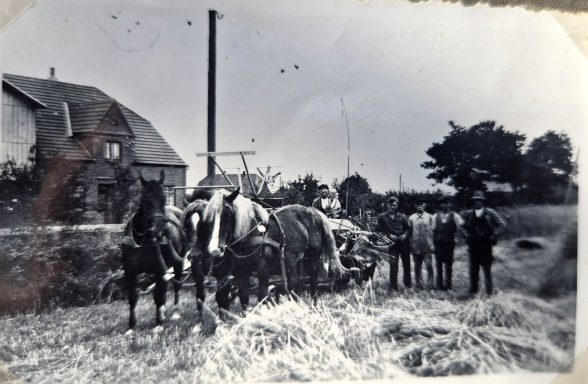 Schwarz-weiß-Foto von Bauern mit Pferden und Wagen vor einem Gebäude.