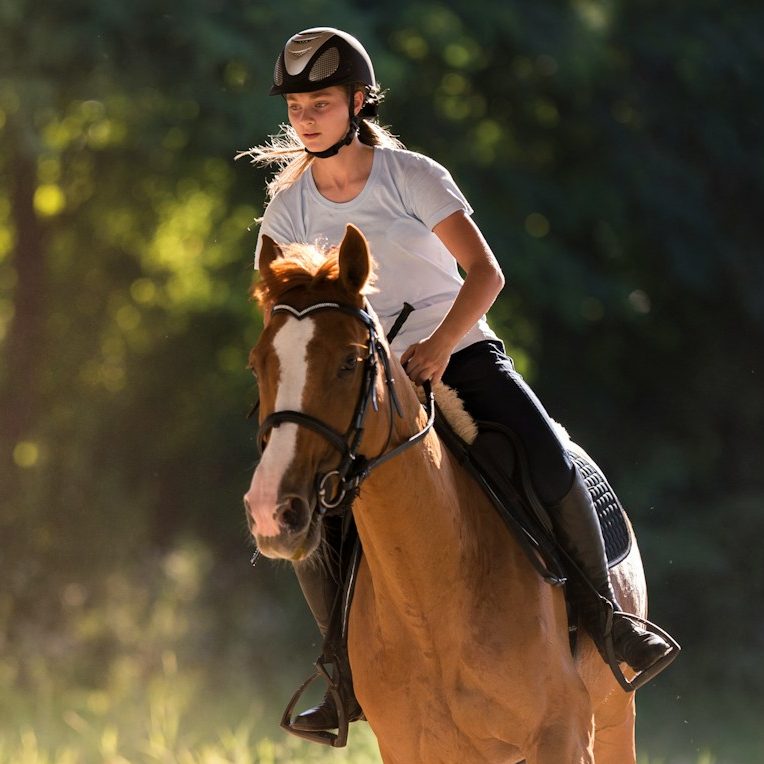 Reiterin auf grauem Pferd in natürlicher Umgebung, lächelt freundlich.