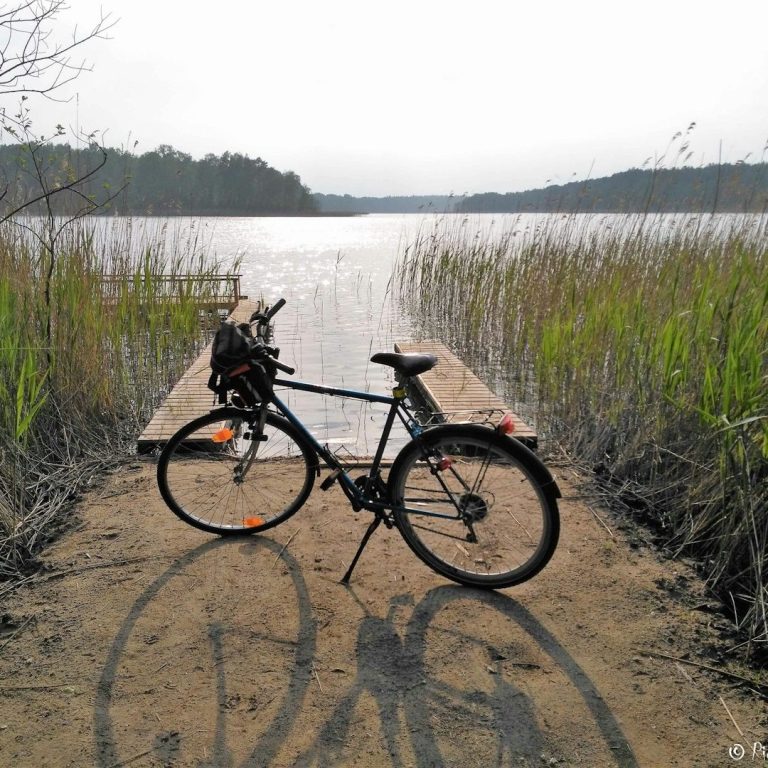 Fahrrad auf einer Holzplattform am Nord-Ostsee-Kanal, umgeben von hohen Gräsern.